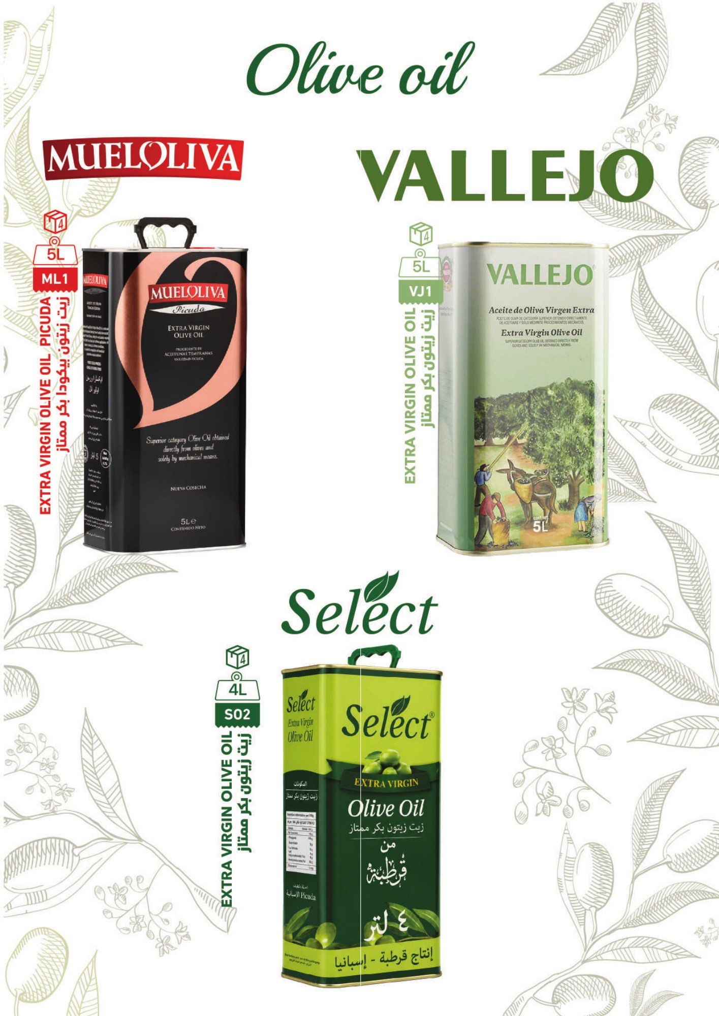 Extra virgin olive oils