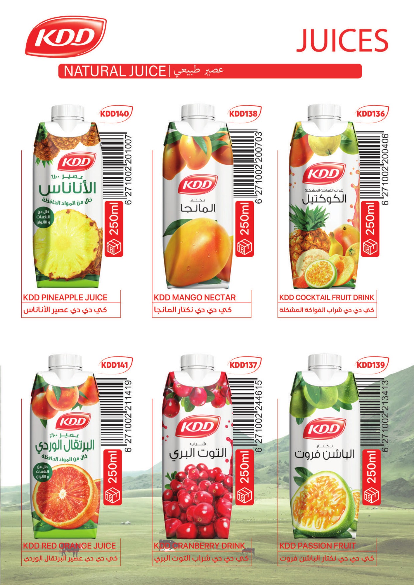 KDD capped fruit drinks, 250 ml