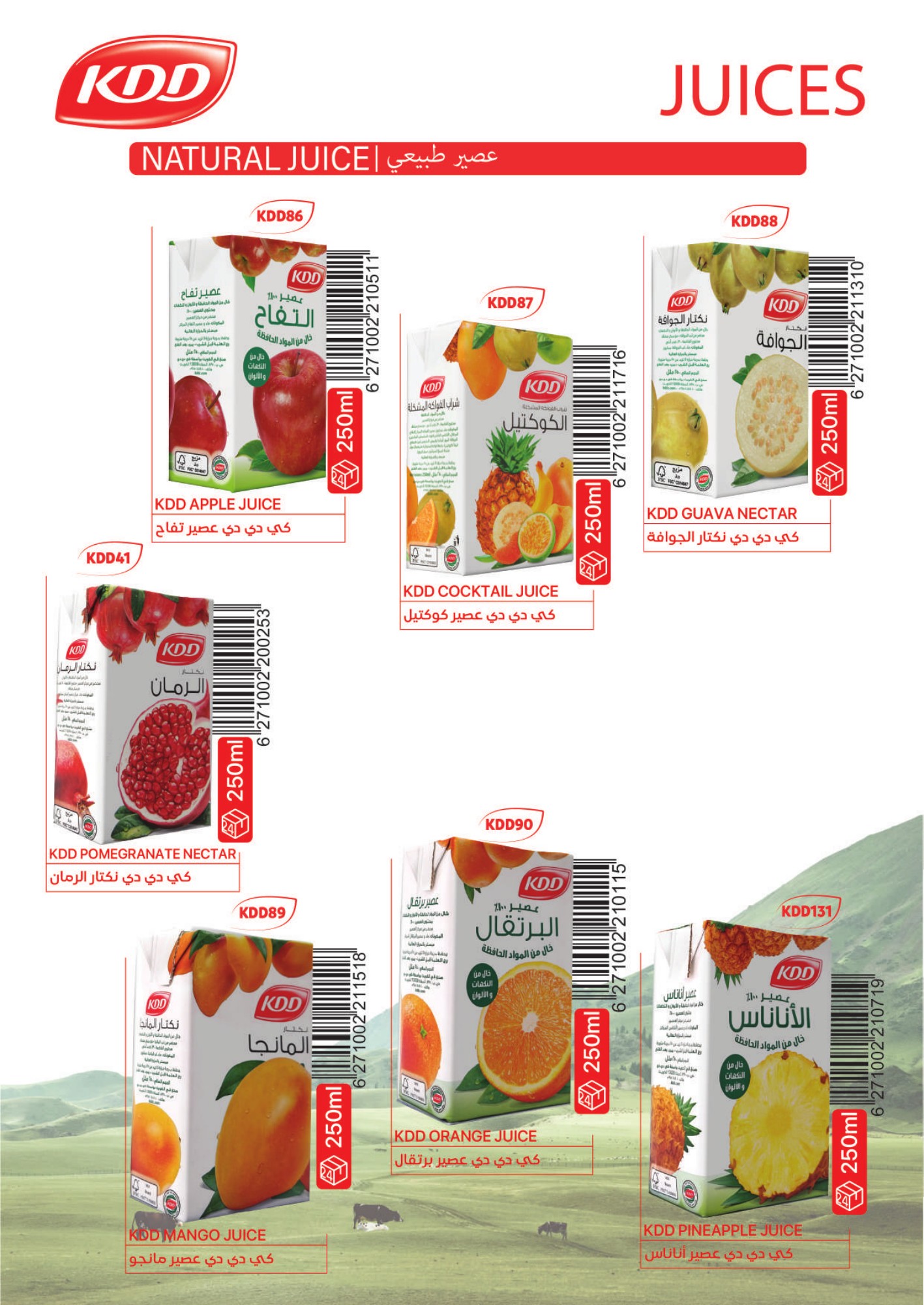 KDD fruit drinks, 250 ml