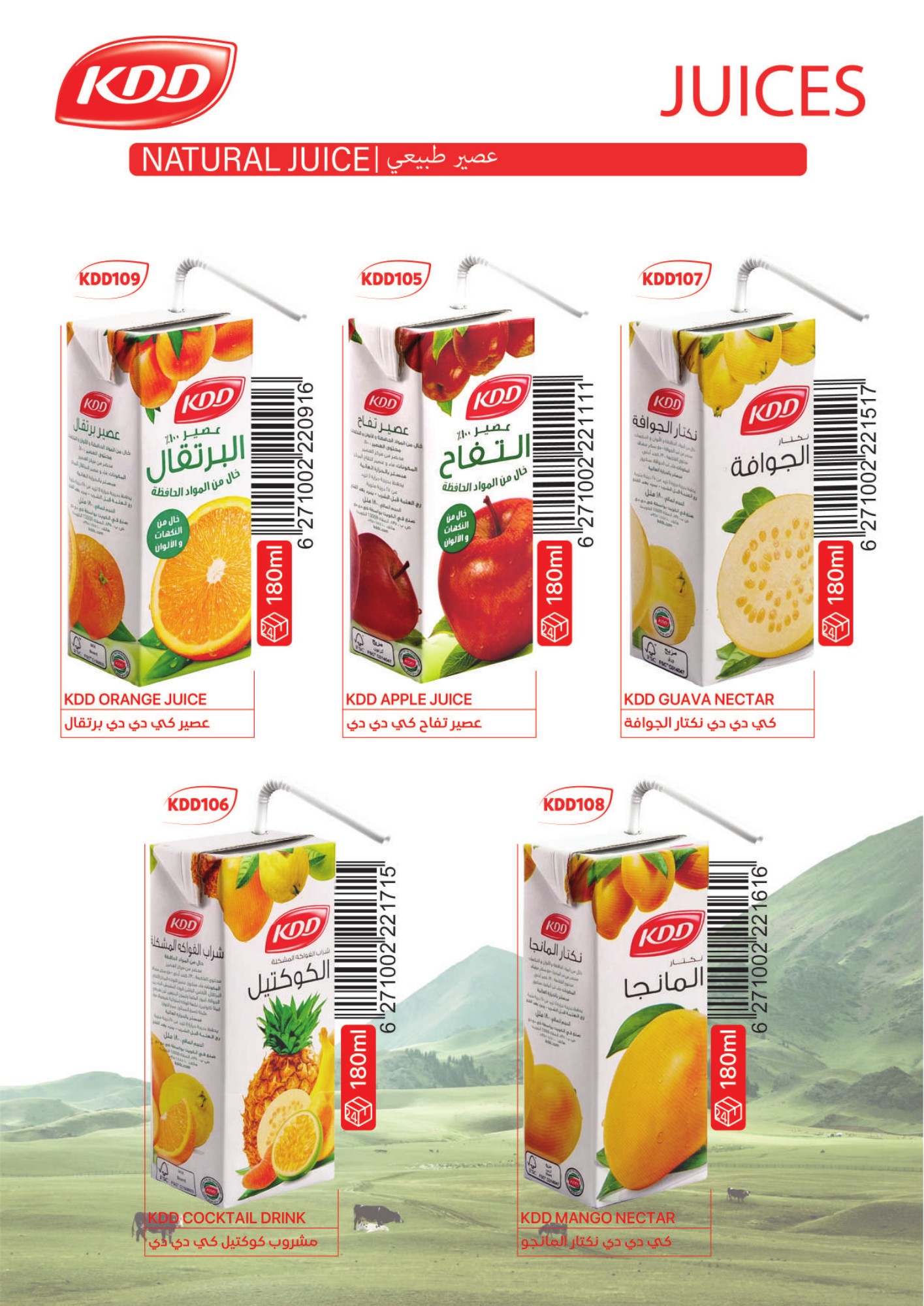 KDD fruit drinks, 180 ml