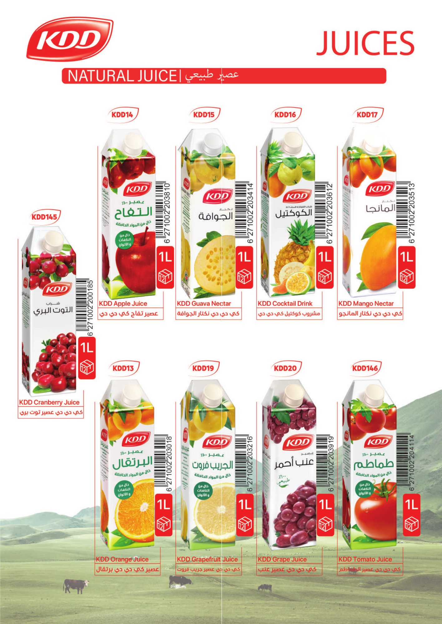 KDD juices, nectars and drinks, 1 litre